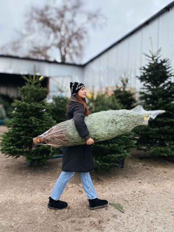 Головні поради, де краще ставити ялинку в домі, щоб стояла пишна й не осипалась 