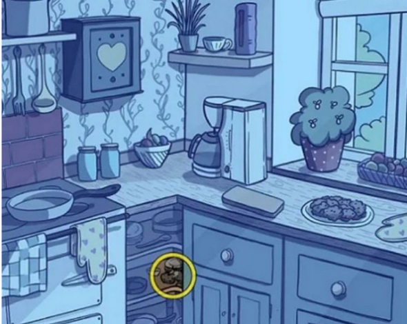 На зображенні кухні притаїлась миша: спробуйте знайти гризуна за 25 с