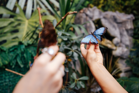 Зимняя страна на ВДНХ: какие развлечения предлагают киевлянам и гостям столицы в период рождественско-новогодних праздников