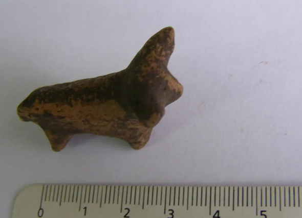 Фігурку трипільського бичка випадково відкрили під час розкопок у Залукві