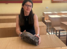 Во Львовской области нашли зуб мамонта, жившего в позднем плейстоцене