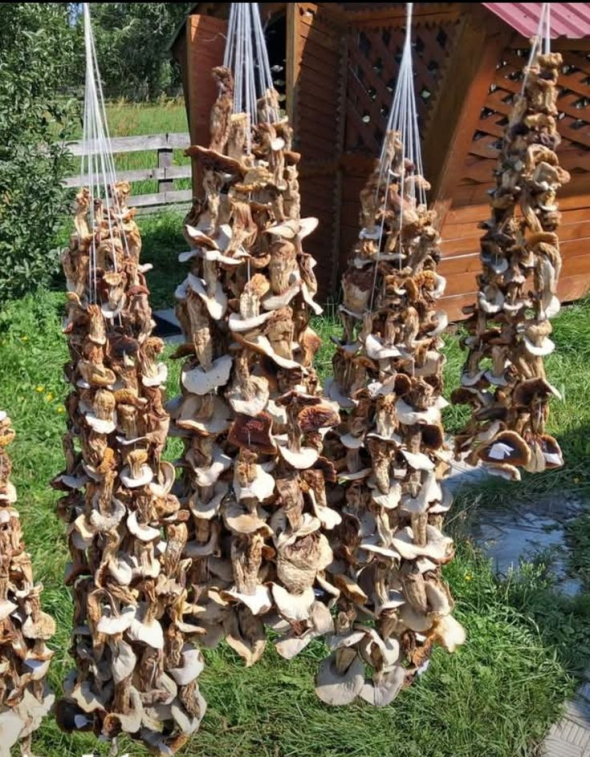 Сушені білі гриби