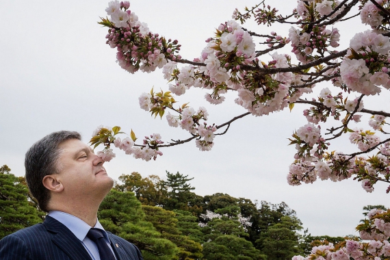 Наслаждается цветением сакуры, Киото, Япония, 5 апреля 2016 года