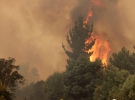 Лісові пожежі у Чилі: передмістя Санта Ольги, 26 січня 2017