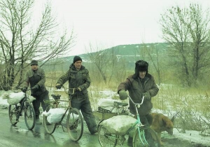 Місцеві жителі несуть мішки з вугіллям для обігріву власних будинків. Авдіївка, Донецька область, Україна, 6 лютого 2017 року