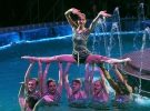 В столичном цирке представили новуй программу "Вода и огонь" 