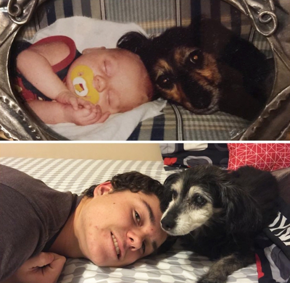Когда собака и хозяин повзрослели одновременно