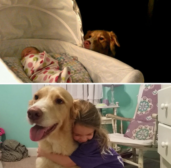 Когда собака и хозяин повзрослели одновременно