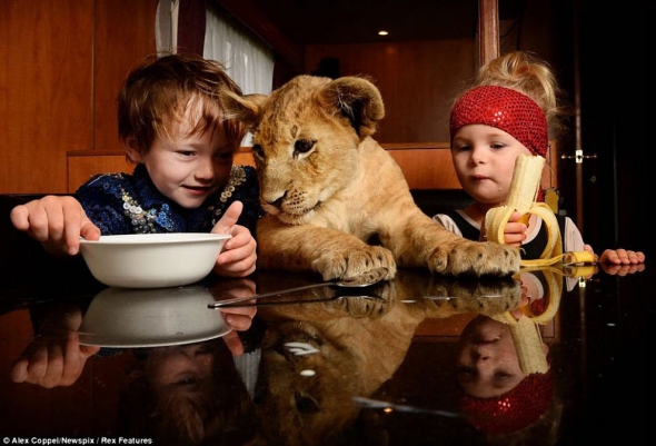 Общение детей и животных 