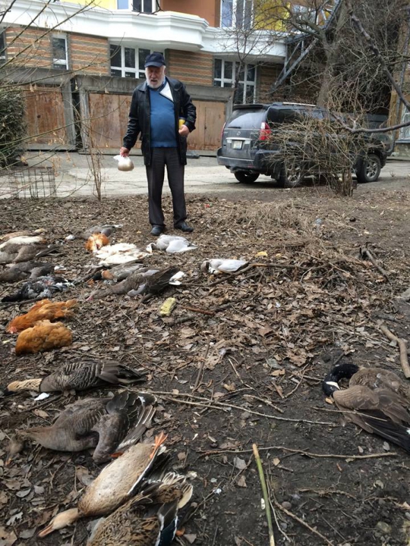 Юрій Руголь стоїть біля мертвих птахів у дворі свого будинку