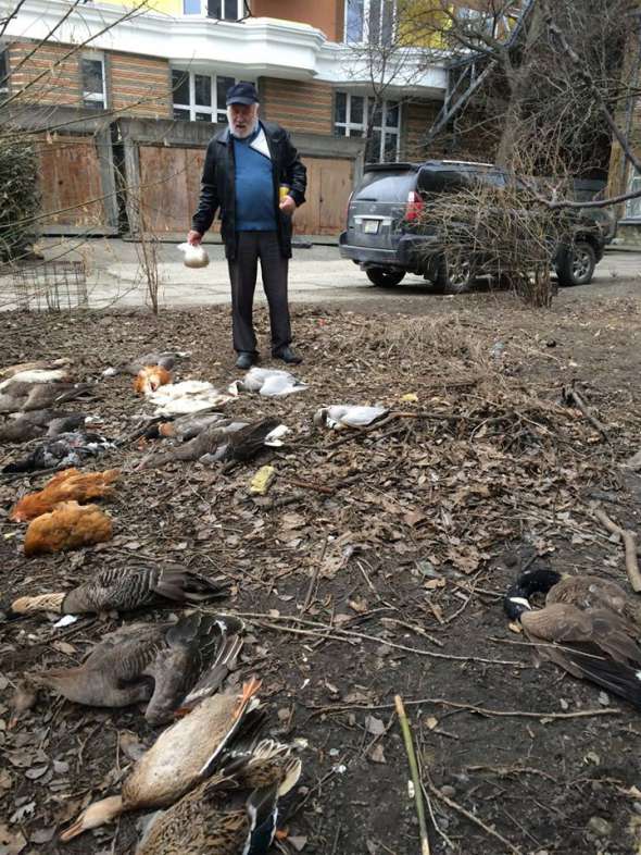 Юрий Руголь стоит возле мертвых птиц во дворе свого дома