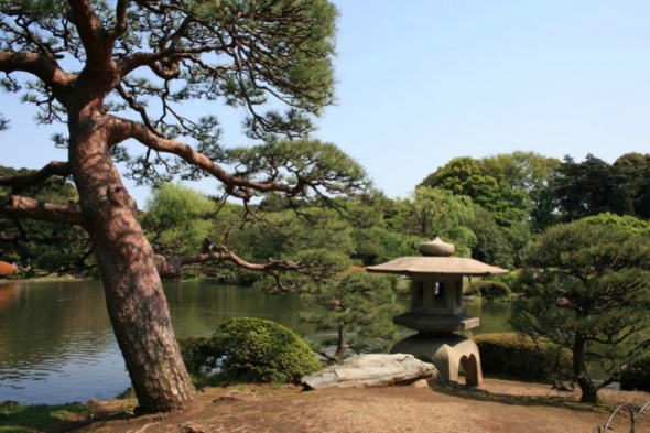 Японський сад в Токіо