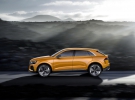 Audi Q8 Sport