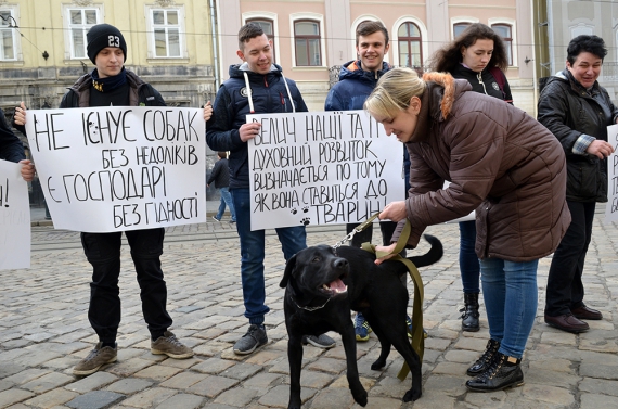 Зоозахисники вимагають посилити відповідальність за знущання над тваринами