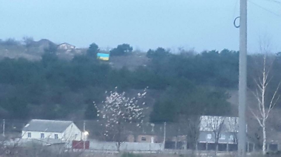 Украинский флаг появился над мечетью в Симферополе