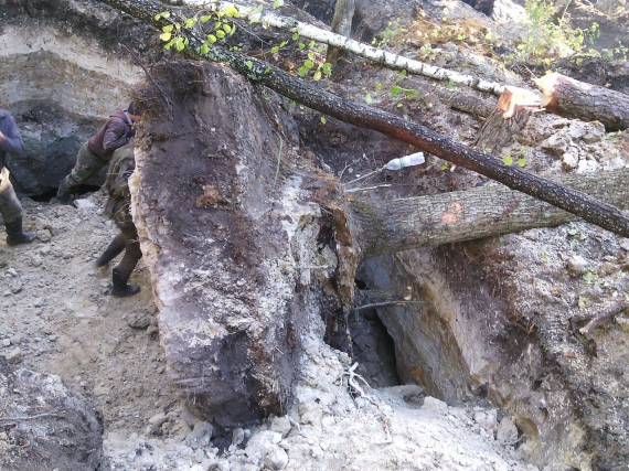 Підпис: У 7:00 Збір на перехресті шебедиха всіх бажаючих чекаем на роботу знаряддя праці вільне заморились слухать бирократов з повагою суспільство Олевщини