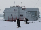 Українська антарктична станція ”Академік Вернадський” розташована на мисі Марина острова Галіндез. Це за 7 км від західного узбережжя Антарктичного півострова. З середини 2015 року тут стало майже удвічі більше пінгвінів. Колонії птахів просуваються з кожним роком все південніше. Українські науковці слідкують за ними завдяки десяткам відеокамер, розташованих неподалік.