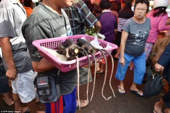 Жареных черных хохлатых макак продают вместе с нарезанными питонами, летучими мышами и собакам на рынке Томохон