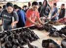 Смажених чорних чубатих макак продають разом з нарізаними пітонами, кажанами і собаками на ринку Томохон