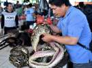 Смажених чорних чубатих макак продають разом з нарізаними пітонами, кажанами і собаками на ринку Томохон