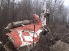 Російська авіакатастофа знищила політичну еліту Польщі