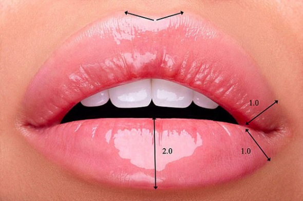 Идеальная форма губ