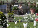 Белый сад принцессы Дианы засадили необычными цветами