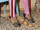 Рекламна кампанія Gucci до міжсезонної колекції Pre-Fall 2017