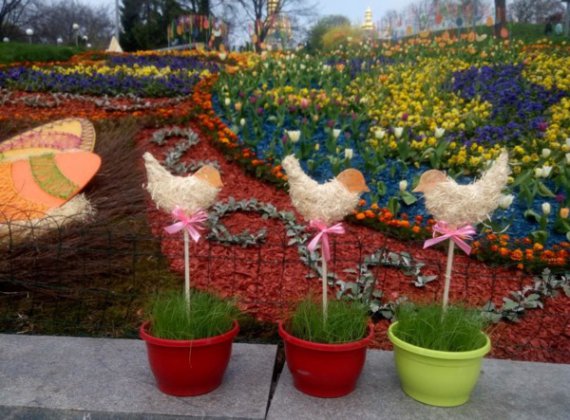 На Певческом поле в Киеве открыли выставку тюльпанов