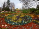 На Певческом поле в Киеве открыли выставку тюльпанов