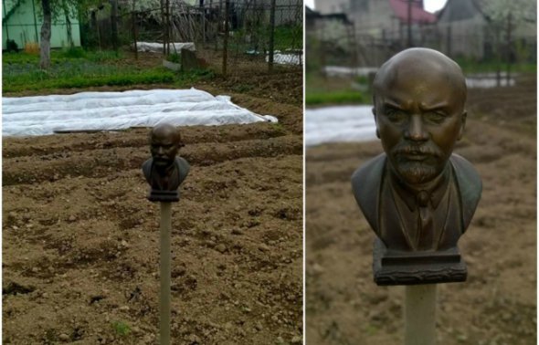 Игорь Вишневский поставил на огороде бюст Ленина вместо чучела