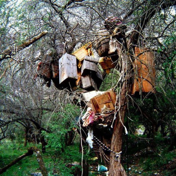 Древний религиозный обряд захоронения в воздухе до сих пор сохранился в африканских племен. Умершего обматывают в кокон и подвешивают на дереве, как гигантскую куколку