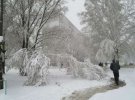 Непогода в Харькове: повалено более 700 деревьев, обесточены тысячи домов