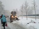 Непогода в Харькове: повалено более 700 деревьев, обесточены тысячи домов