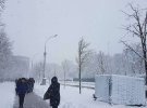 Непогода в Харькове: повалено более 700 деревьев, обесточены тысячи домов