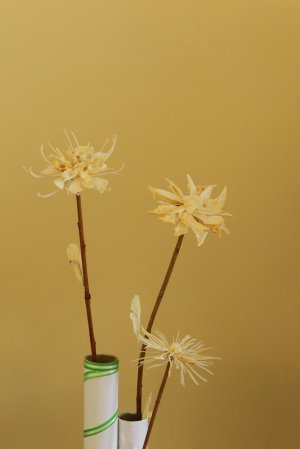 Маргарита Гордієнко створює картини з риб'ячих кісток