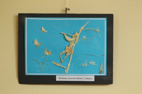 Маргарита Гордієнко створює картини з риб'ячих кісток