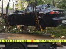 На вул. Тропініна в Києві дерево розтрощило автомобіль