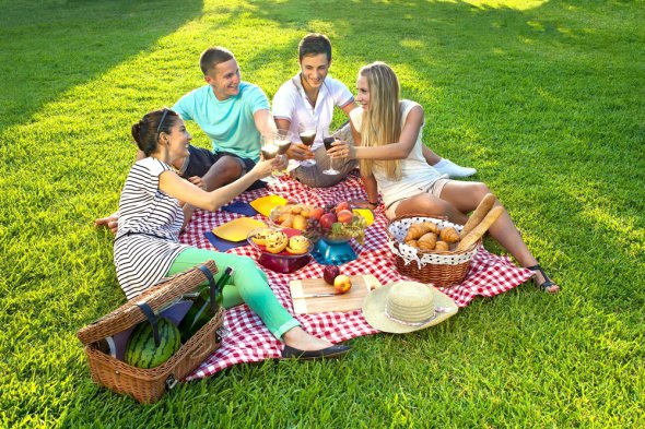 Несколькочасовая вылазка в лес или парк может ограничиться корзиной с едой и посудой, покрывалом, ковриком, зонтиком от солнца и играми для досуга.