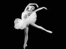 У всьому світі визнали унікальний стиль танцю Плісецької, її гнучкість, пластичність і витончені рухи рук. 