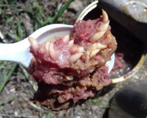 3 травня в мережі з'явилось фото, як у солдатському сухому пайку "Сніданок туриста" серед м'яса виявили зуби