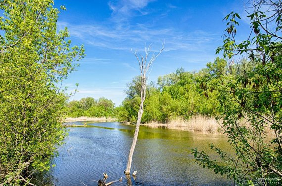 Живописная природа, реки, поля, заливные луга, горы, озера и подвесные мосты