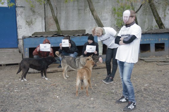 Приюту для животных в Пирогово нужна помощь