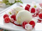 Мороженое делают с йогуртом и медом