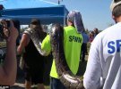 Дасті Крама вважають одним з найуспішніших змієловів СШ