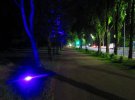 На Русановской набережной деревья подсвечивают разными цветами