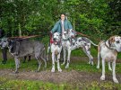 68-річна британка тримає 5 німецьких догів