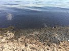 В соцмережах з'явилися фото замулениого моря і брудник пліжів в Криму