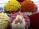 В лондонском Челси открылась ежегодная выставка цветов.