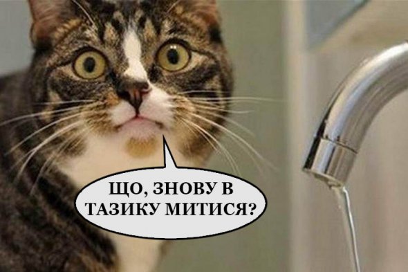 Киевляне шутят про отключение горячей воды 